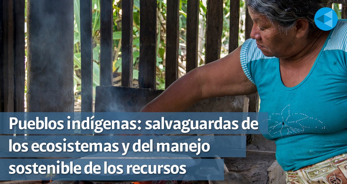 #Historias | Diferentes estudios han determinado que los pueblos indígenas son los guardianes esenciales del medio ambiente. 
➡️bit.ly/3AtW5ky