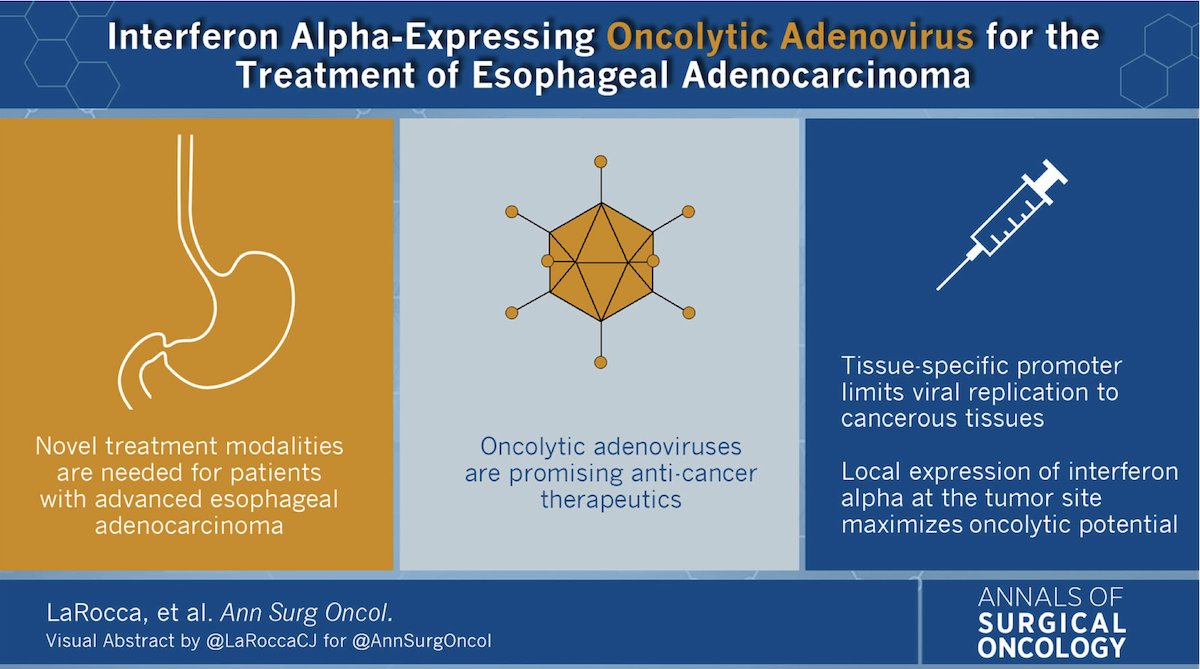 AnnSurgOncol's tweet photo. #InterferonAlpha-Expressing #OncolyticAdenovirus for Treatment of #EsophagealAdenocarcinoma . https://t.co/JT3vqy4RRs #VisualAbstract @McMastersKelly https://t.co/98Ul5FZZ0x