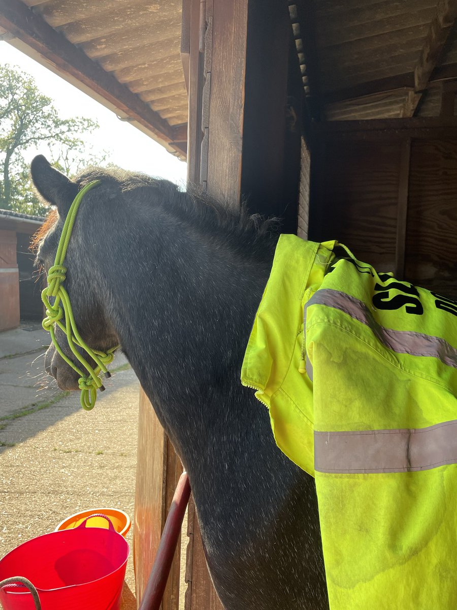 JoannaHolland80's tweet image. Desensitised in one day 😅😂 all by himself playing around 😅😂 need a new high viz coat as mine is ruined now 😂 #threeyearold #bodminmoorpony