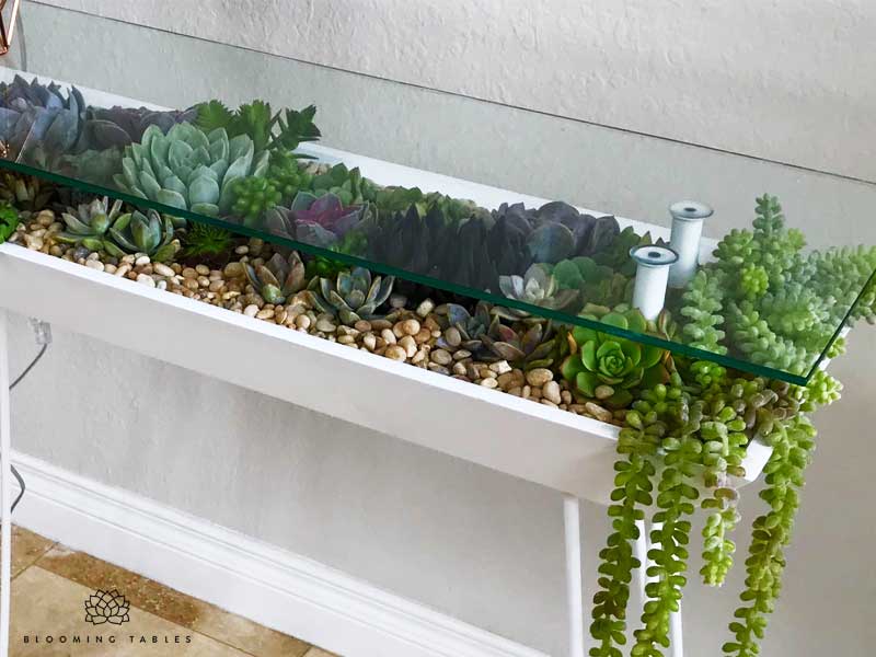 With Blooming Tables, Bring Plants Into Your Desks, Coffee Tables, Side Tables and End Tables.

#living #furniture #furnituredesign #tables #plants #gardening #green #indoor #inspiration #Health #maxitendance

maxitendance.com/2021/09/bloomi…