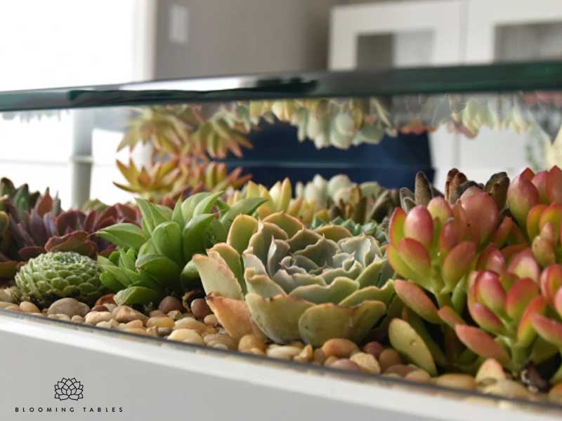 Maxitendance's tweet photo. With Blooming Tables, Bring Plants Into Your Desks, Coffee Tables, Side Tables and End Tables.

#living #furniture #furnituredesign #tables #plants #gardening #green #indoor #inspiration #Health #maxitendance

https://t.co/WTMVQySsJ0 https://t.co/h90wZkYvsN