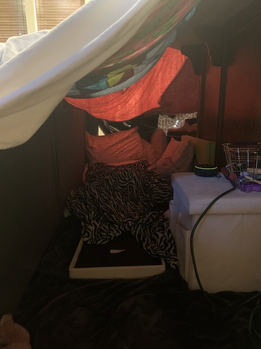 My girl has built an epic blanket fort and I will allow it to be up until quarantine is over
#covidsucks #proudmom