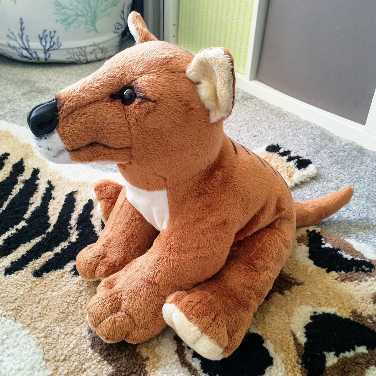 FaunaForge's tweet photo. Build a Bear Thylacine! I refurbished this lad as he was a bit faded and sad. Got beans in the feet now and a 3D printed Thylacine nose from @palaeoplushies ! https://t.co/Hq6EGnvHWQ