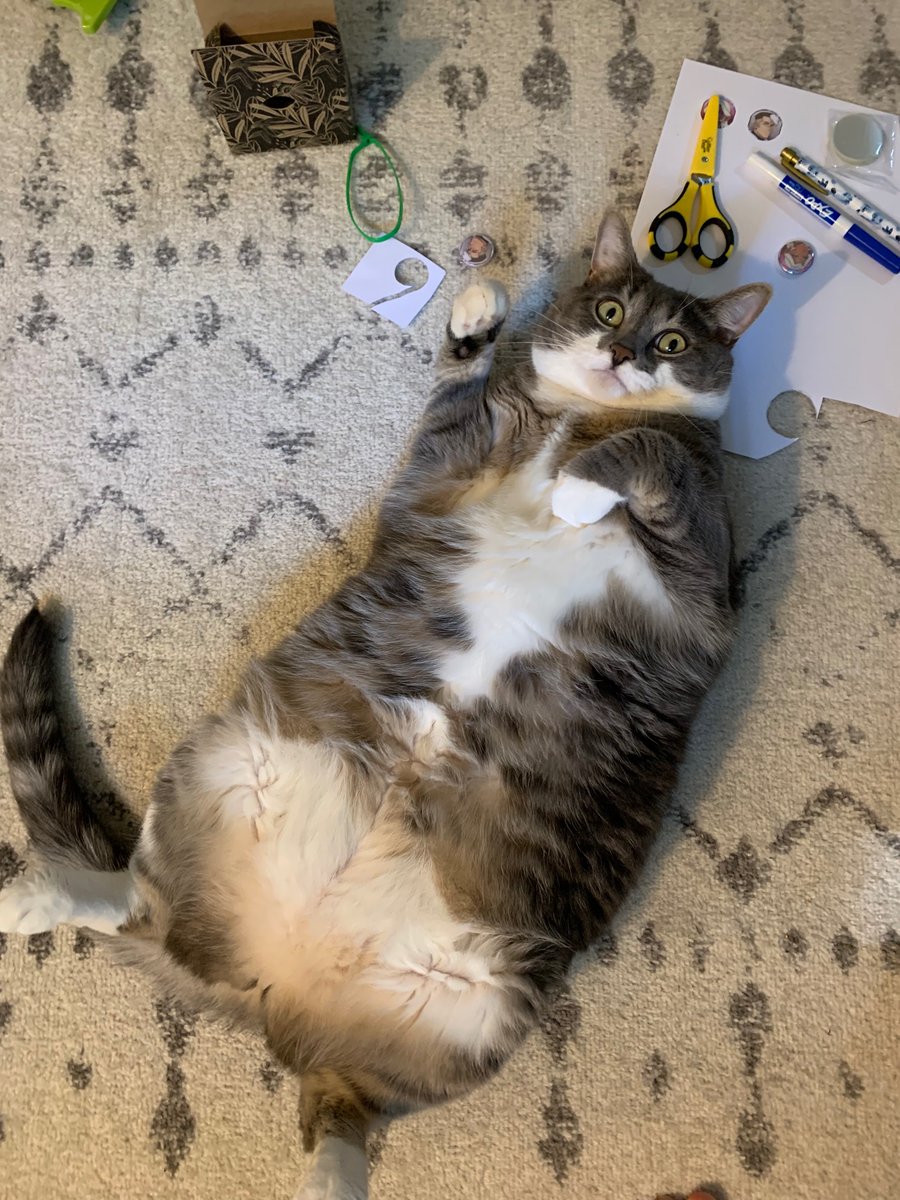 elisamakesart's tweet photo. Fruit Loop is hard at work making buttons for #VoltCon #Geekcat #CatsOfTwitter https://t.co/MdntJWpyLT