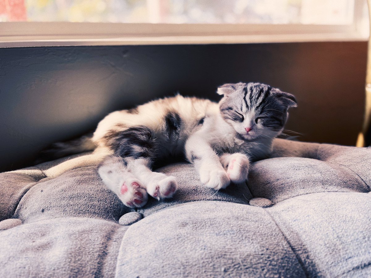 oobnet service provider tweet media