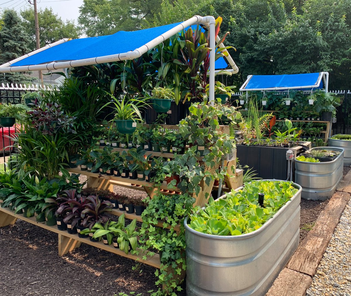 Come get your tropical #houseplants before the air gets chilly❄️🍂 We have a huge selection of beautiful plants waiting to be taken home!