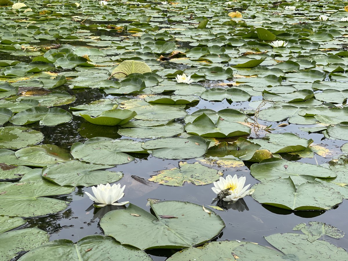 SOS - our CEO gave us the "Summer off #SocialMedia" to focus on being social in person, mental health &amp; our customers

As a brand strategy + #marketing co, we learned a lot doing a full content stop (which we'll share soon) 

Pic is a clue of creativity ahead 
#MarketingTwitter