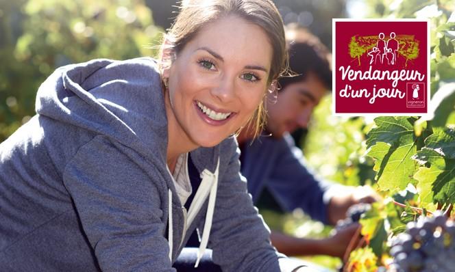 Vignerons Indépendants de France tweet media