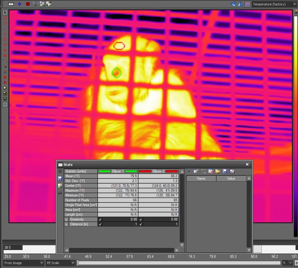 Lydia Hopper (@lydiamhopper) on Twitter photo As thermal imaging is increasingly used to assess primates’ affect in controlled studies, <a href="/BenjaminRLake/">Benjamin R Lake, MSc</a>, <a href="/chimpchic/">Amy Fultz</a>, @chimpfreq & I tested the feasibility of collecting thermal images in tandem with long-term behavioral observations of captive chimps link.springer.com/article/10.100… 1/2 As thermal imaging is increasingly used to assess primates’ affect in controlled studies, <a href="/BenjaminRLake/">Benjamin R Lake, MSc</a>, <a href="/chimpchic/">Amy Fultz</a>, @chimpfreq & I tested the feasibility of collecting thermal images in tandem with long-term behavioral observations of captive chimps link.springer.com/article/10.100… 1/2