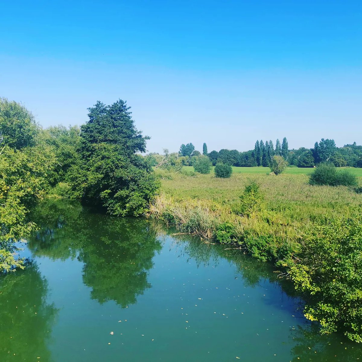 The River Thames and Iffley Meadows #oxford #riverthames #thames #boats #meadow #river #water #nature #visitoxford #iffleymeadows #oxfordshire @VisitOxford