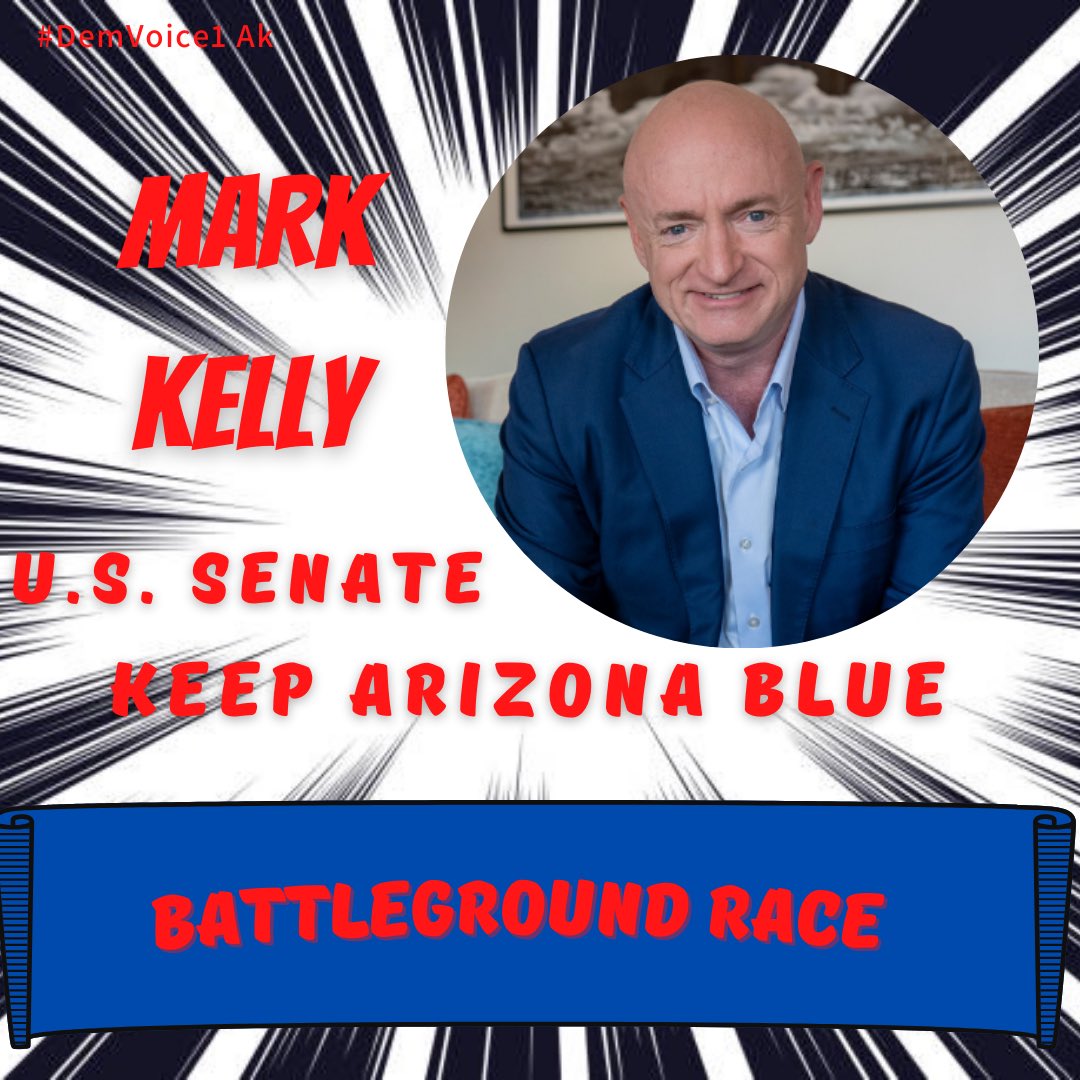 AZ, former astronaut & retired US Navy Capt, MARK KELLY is running for the Senate! He will not take PAC $$ or Exxon $$ His issues include: ❗Minimum Wage ❗Gun Safety ❗Healthcare ❗And More Follow & RT @SenMarkKelly MARK KELLY IS A KEEPER! #Vote 🗳 #DemVoice1