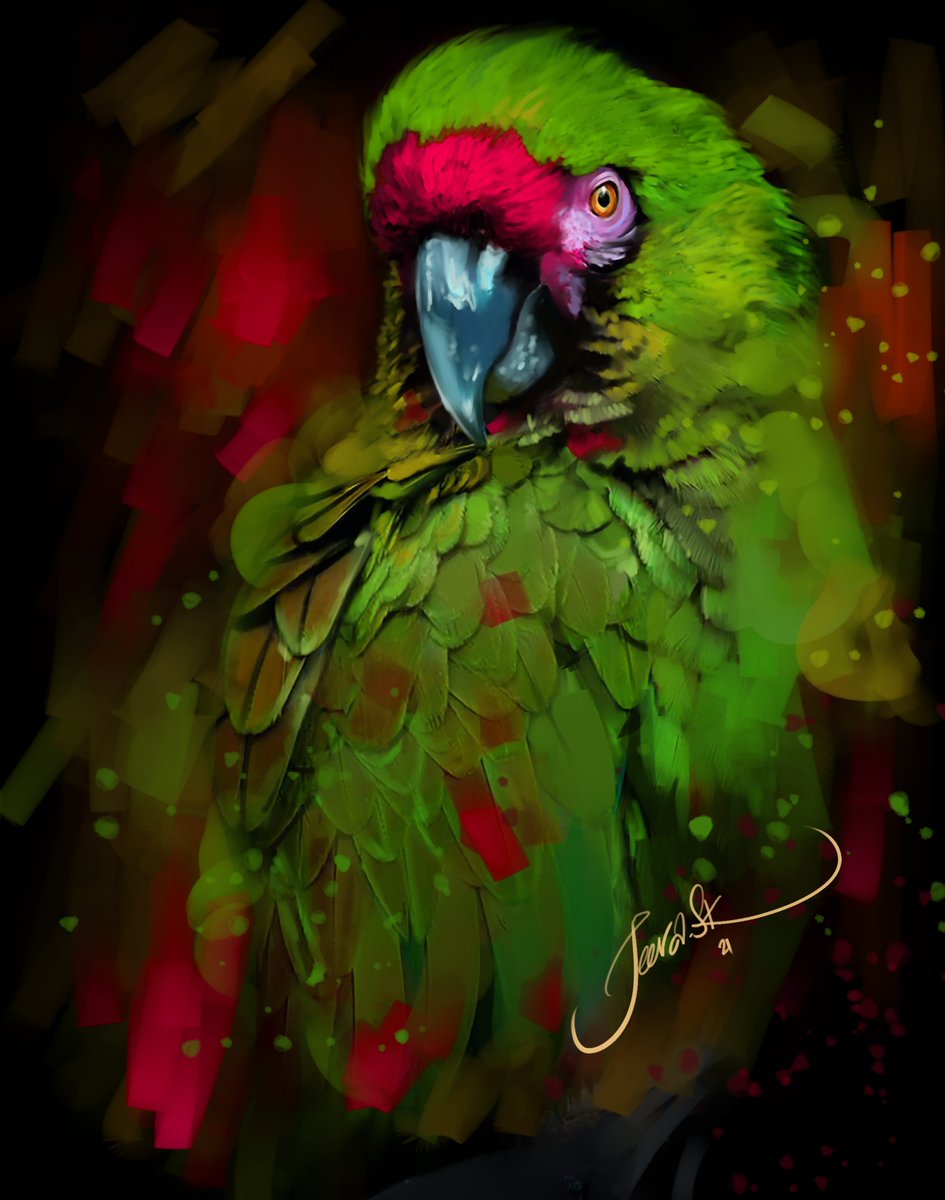 Green Parrot Artwork 2021
#greenparrot #artwork