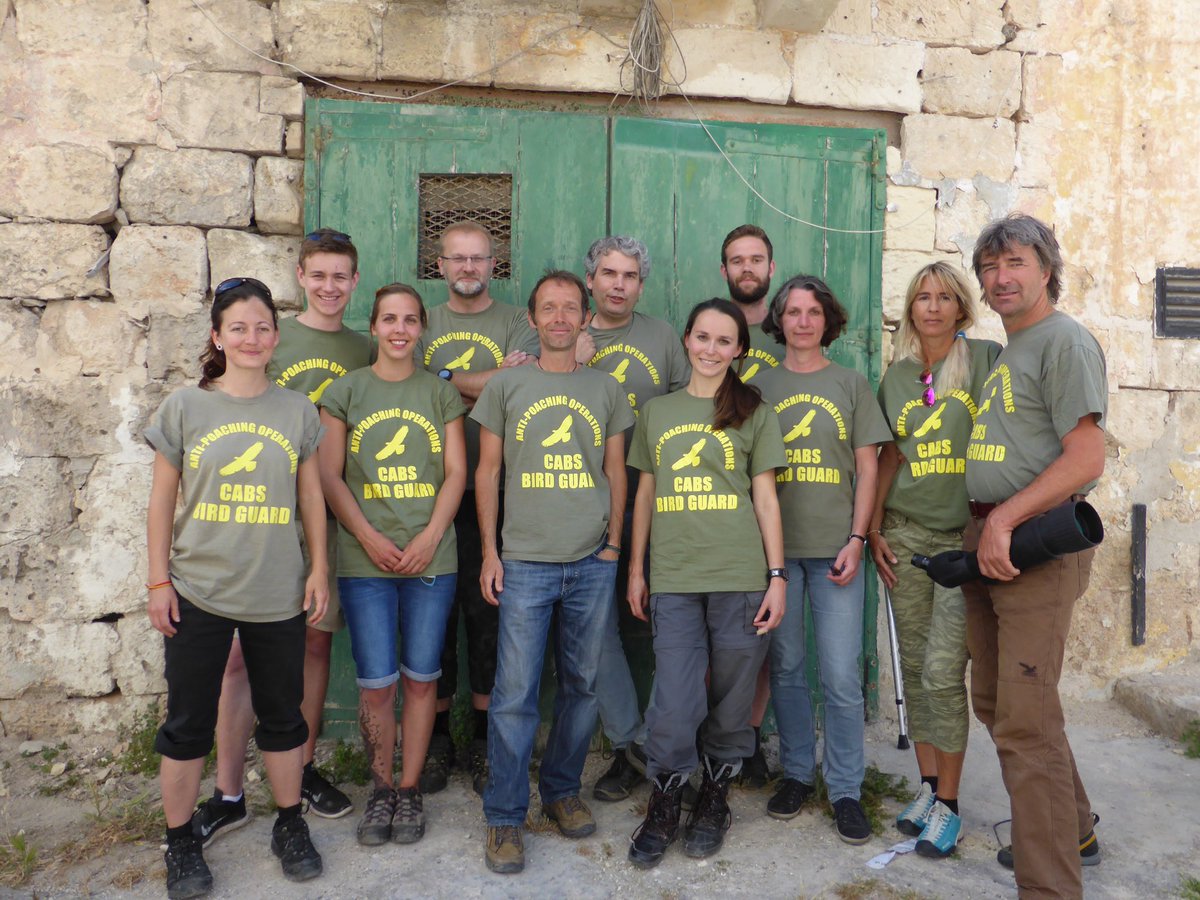 CABS_REPORTS's tweet photo. Our bird protection camp on #Malta &amp; #Gozo has now also begun! The primary focus in early Sept is monitoring the migration of storks, herons and birds of prey. Later in Sept our focus will shift to investigating illegal finch trapping. More here: https://t.co/5PVZ17d950 https://t.co/NvyLdbzQuF