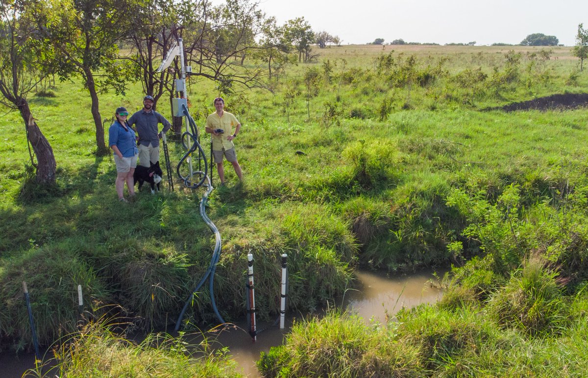 Stephen Cook tweet media
