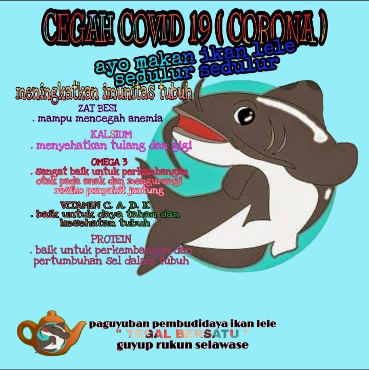 IndraHariman1's tweet photo. Ayoh sedulur Kita Makan Ikan Biar Imunitas Tubuh Kuat..Indra Hariman Luhkan Tegal
#GiatLuhkanSatminkalTegal 
@PuslatKP 
@BudidayaKKP
@SwaraBahari 
@tribunjateng https://t.co/OgqJwRN2AD