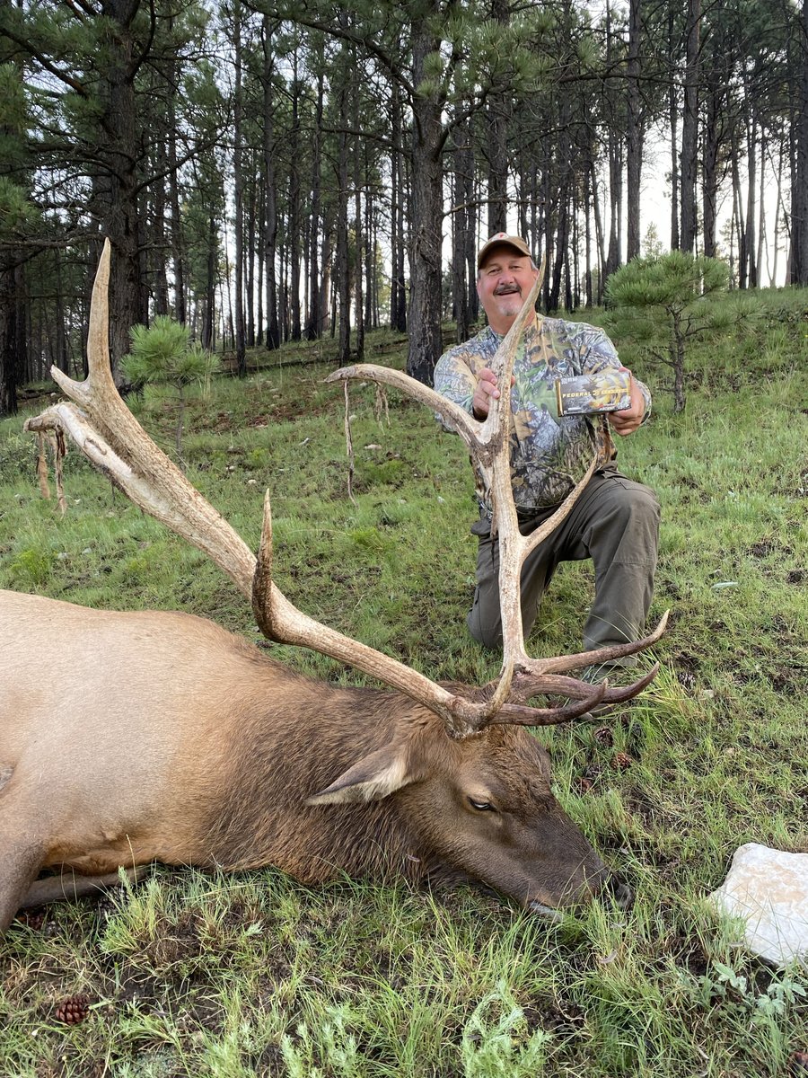 FederalPremium's tweet photo. This hunting season, we're sharing their #itsfederalseason stories!
For our first #terminalascenttuesday, we bring you the success of fellow hunter and father to ambassador Kayle Browning, Tommy B. who shot this bull at 200 yards using Terminal Ascent 300 Win Mag. https://t.co/H86IQbAIb1