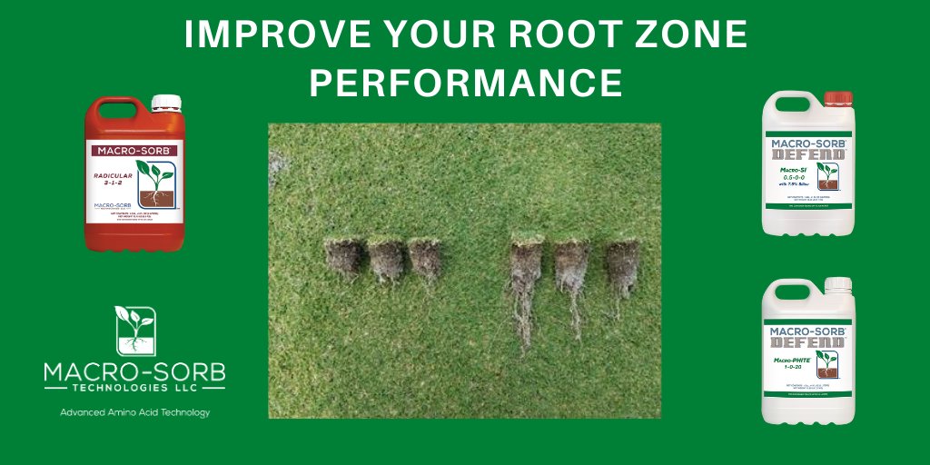 Build a healthy root system this fall!  The Macro-Sorb root zone program is great for ultradwarf bermudagrasses in the shoulder seasons!  Fortify your turf with Amino Acids, Silica, and Phosphite to combat biotic and abiotic stresses!
