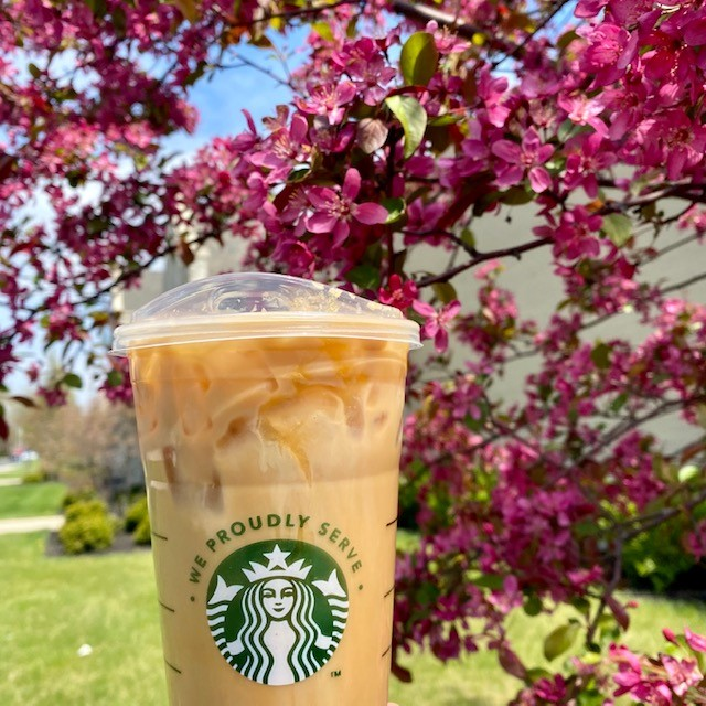 RocketDining's tweet photo. Morning Coffee and View on Campus ☕ 📸 
. . .
📍 We Proudly Serve at Rocket Hall
. . .
Swing by and try our assortment of fresh pastries, bagels, and Jack &amp; Olive grab-and-go items! 🏃 
. . .
#rocketdining #morningcoffee #freshpatries #bestview #coffeelovers https://t.co/mnyARz1X6H