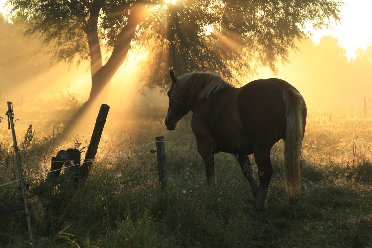 Podlasie. 📷 by Klimaty Podlasia