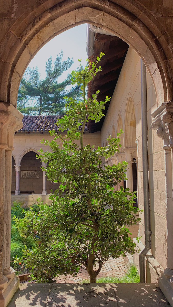 초록광인 친구들을 위해 배경화면 만들었어 쓰새요 📲