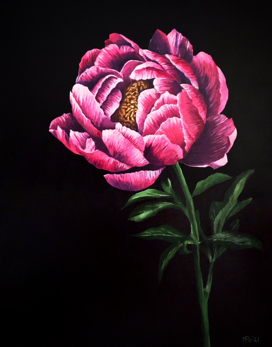 MPoArt's tweet photo. “HOPE” 🌸 Oil on canvas, 40x50 cm. 2021.

Commissioned painting.

Feel free to DM me if you want any similar artwork. Free worldwide shipping ✈️

#oilpainting #peonypainting #flowerpainting #commissionedart https://t.co/2Sgvl2Wi7D