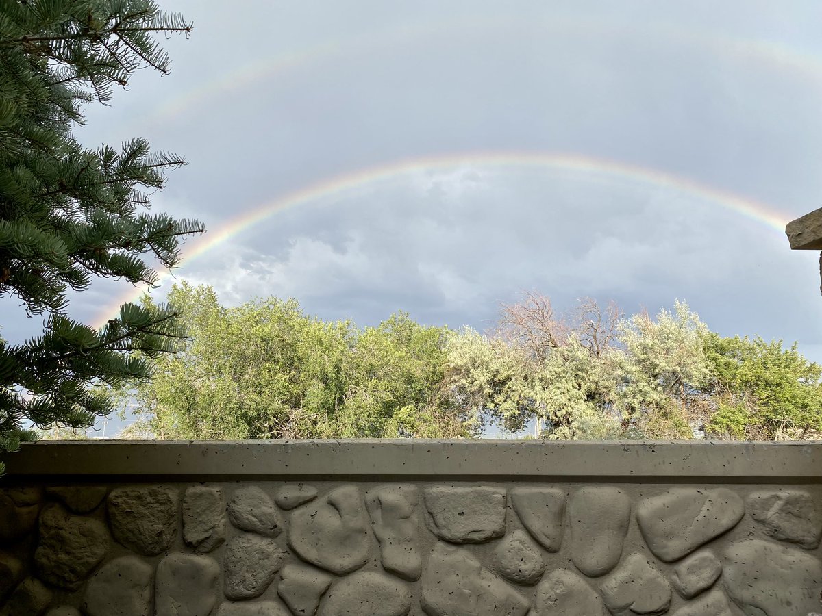 klynnvakarian's tweet image. I’m just here to 9O% lurk and 10% post random nature pics