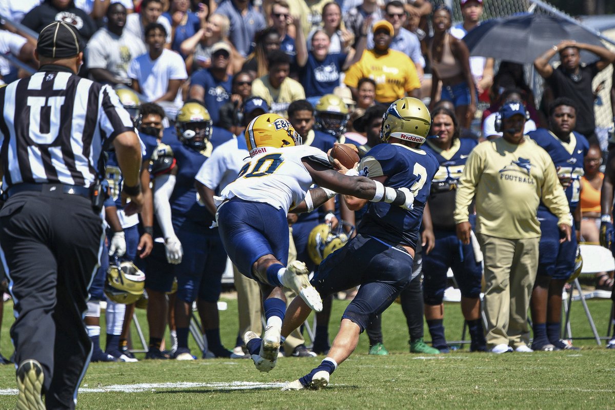 Emory & Henry Wasps tweet media