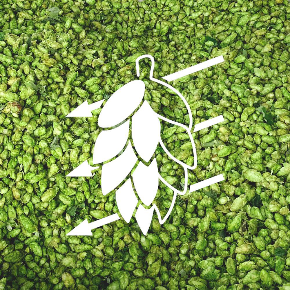 Hazydazehops's tweet photo. Hop Harvest may be over for the year, but now it’s even easier to order your favorites. Hazy Daze is now online! We even took some time to rebrand too. Why not come take a look at our hop library or give us a follow on our socials. #hazydazehops #pahops #rebrand #3rdesignstudio https://t.co/Dr3EnawJlv