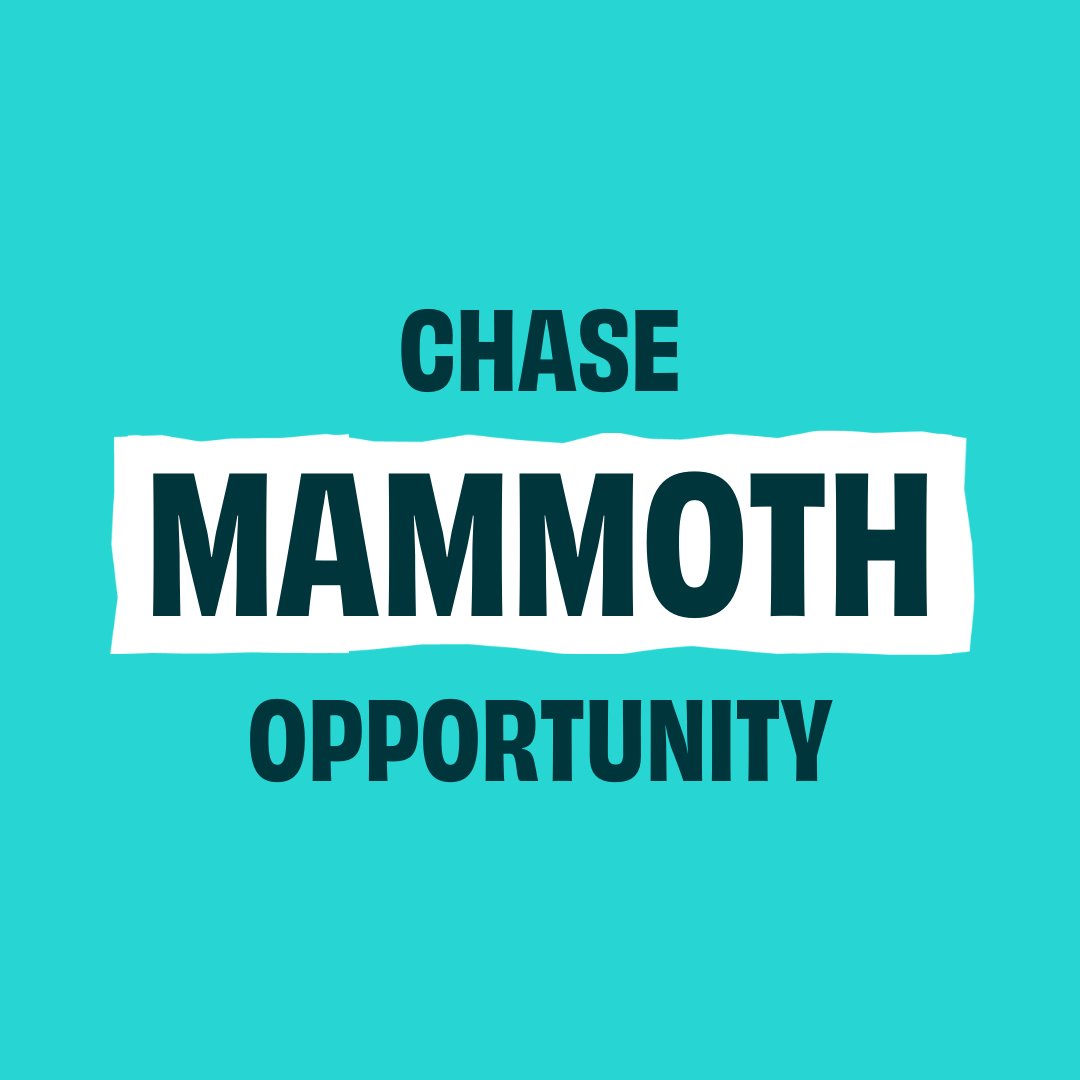 Bring us your vision and goals, and we can take it from there. Together, we'll progress through a regimented discovery and design process in order to identify your ideal minimum viable product (MVP). tyrannosaurustech.com #TyrannosaurusTech