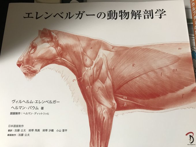 動物解剖学のtwitterイラスト検索結果 動物解剖学のtwitterイラスト検索結果