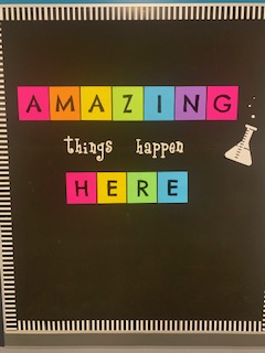 Melissa Wisner tweet media