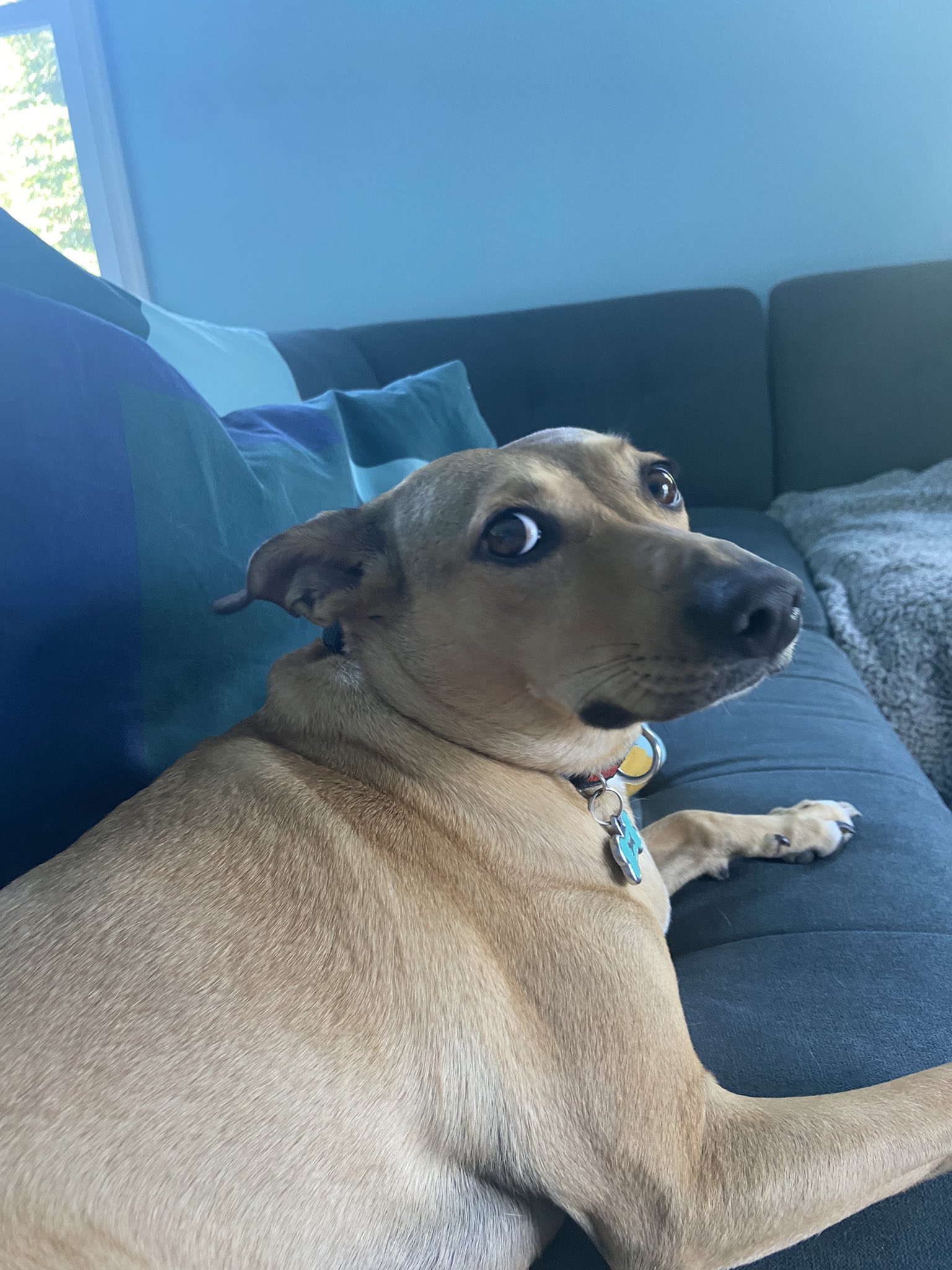 foomf on Twitter: "i got her to do the thing https://t.co/mfm2oOQNPy