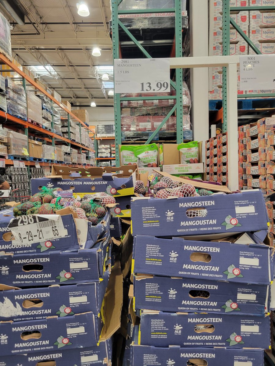 🏺 Evie Chang 🏺 tweet media