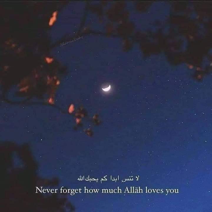 تذكر دائماً 🖤