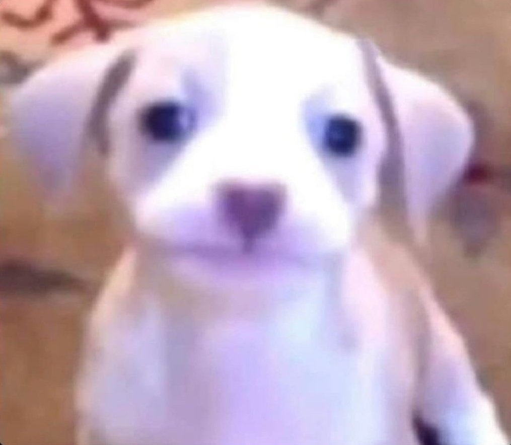 Joseph tweet media