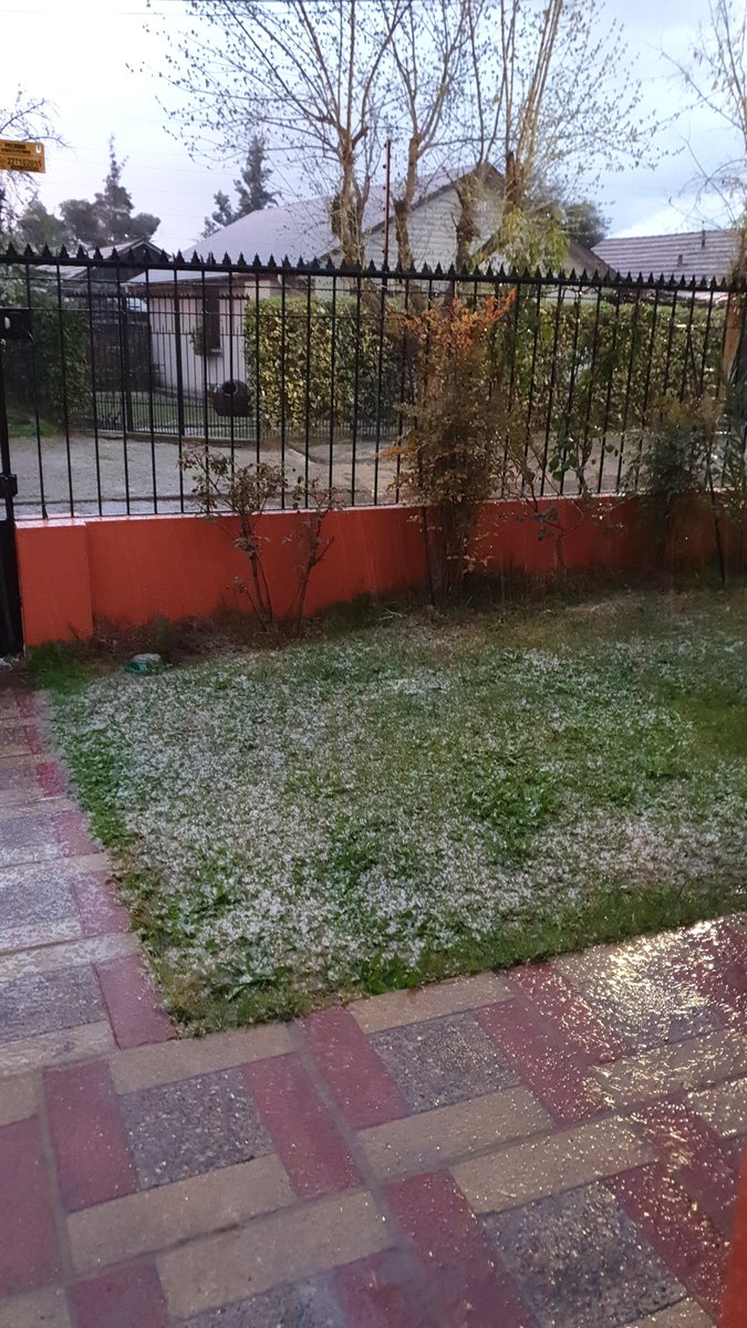 coco_is's tweet image. Fuerte granizada en Macul #holachilelared