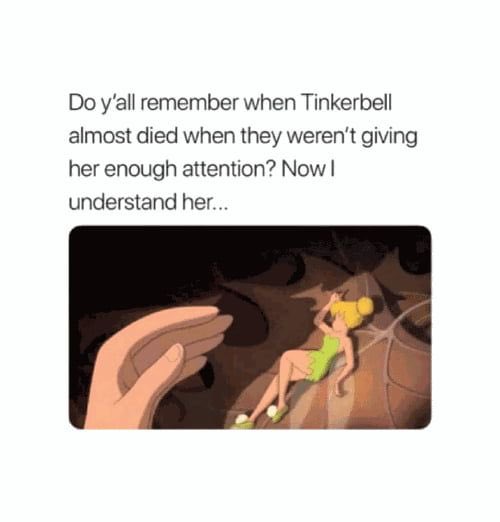 ๐๐๐๐๐๐๐ ๐๐๐๐๐๐. tweet media