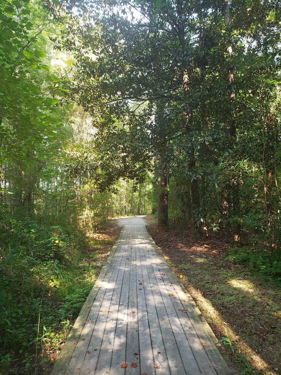 #HinsonLake in #RockinghamNC features a variety of habitats and 2.5 mi of trails. Birds include Green Heron, Canvasback, American Kestrel, Brown-headed Nuthatch, Red-headed Woodpecker, &amp; Prothonotary Warbler.
Learn more at ncbirdingtrail.org/sites/hinson-l…