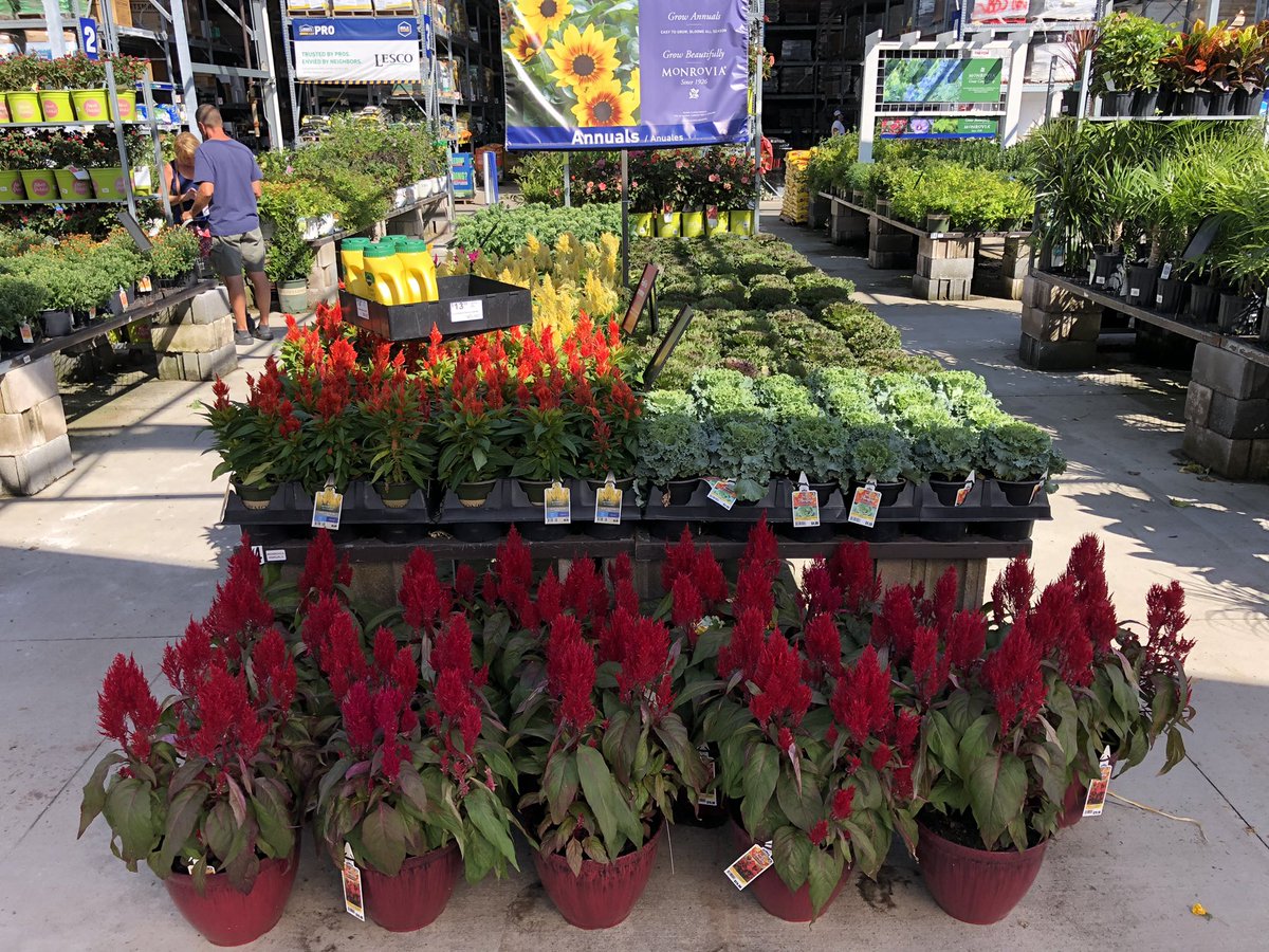 AlanF-Battlefieldfarms tweet media