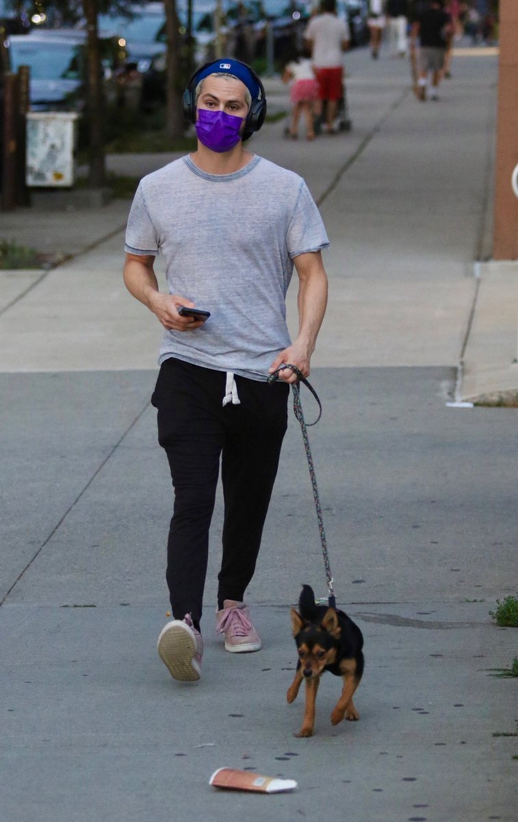 DylanOBrienPOL's tweet image. NOWOŚĆ: Dylan i jego piesek Tony na spacerze.