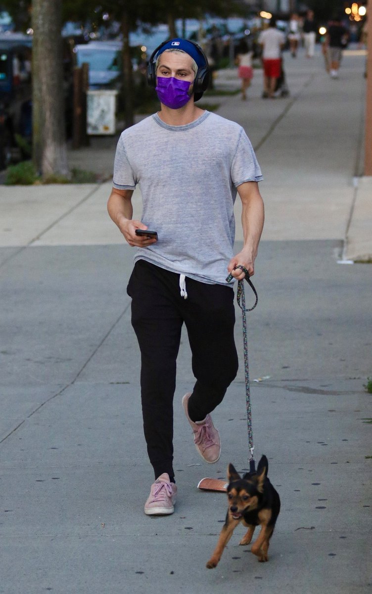 DylanOBrienPOL's tweet image. NOWOŚĆ: Dylan i jego piesek Tony na spacerze.