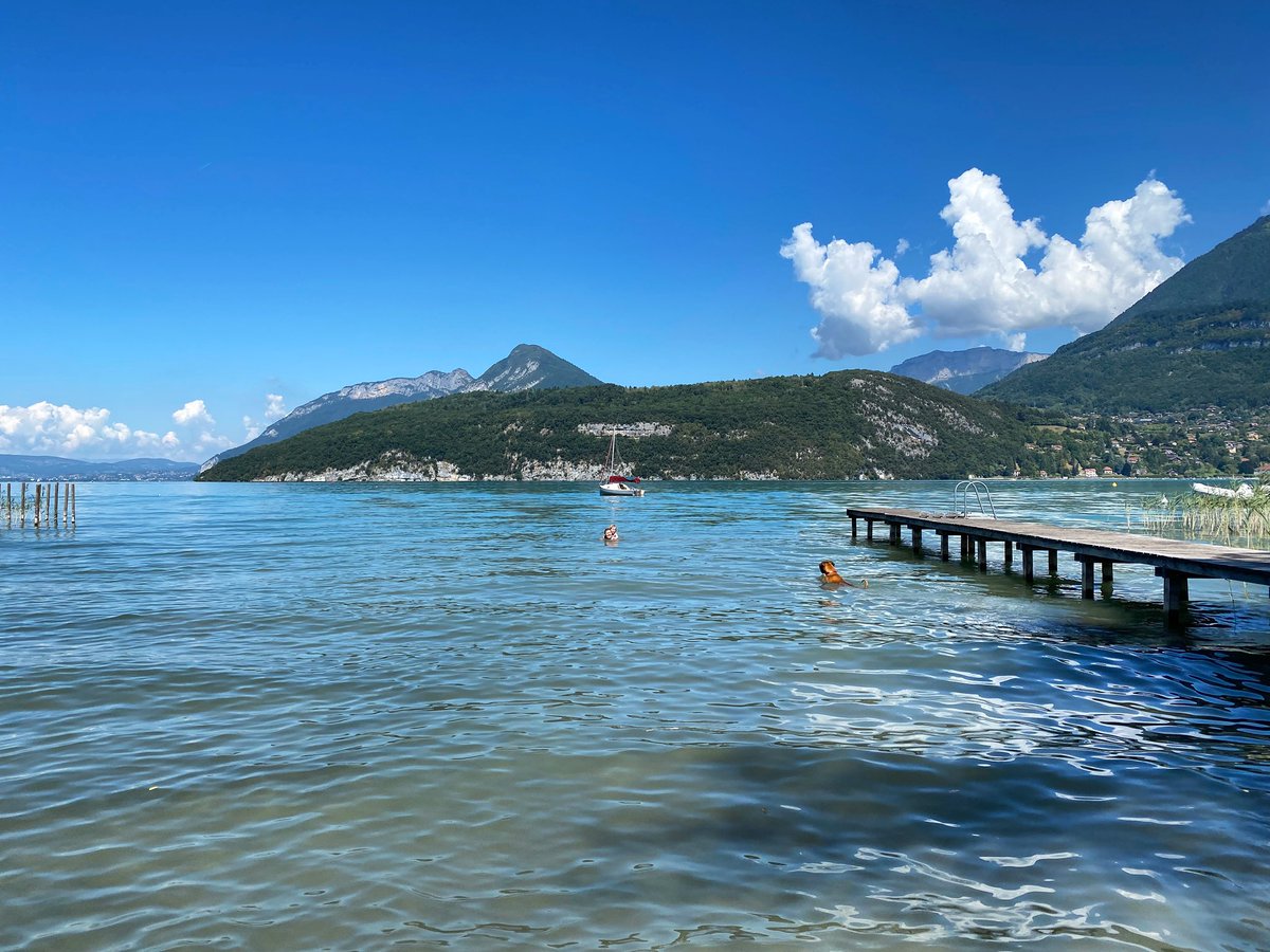 Squash Falconer tweet media