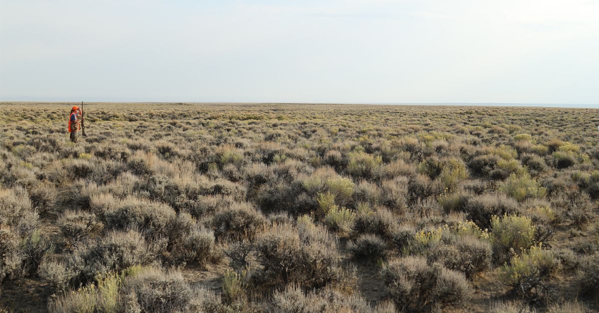 From ranchers and farmers to sportsmen and outdoor enthusiasts, grasslands and sagebrush play a quintessential role for people. It’s no secret that America’s grasslands and sagebrush make up the base of the food chain – we need these fragile ecosystems. #ActForGrasslands (6/7)