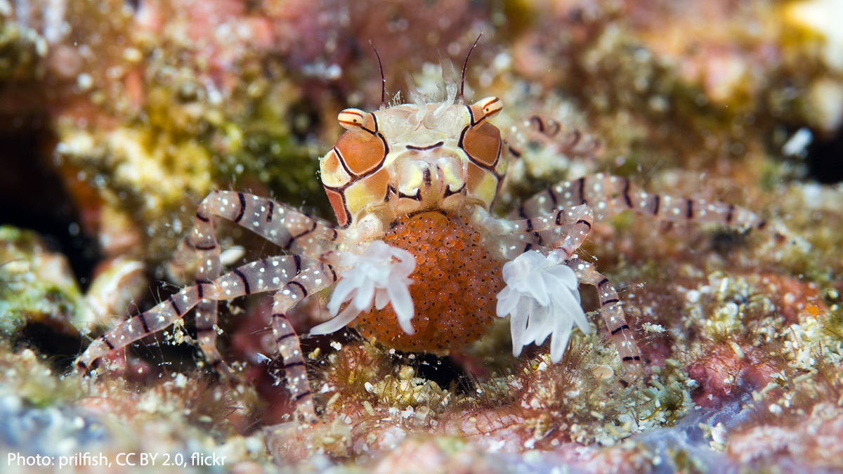 American Museum of Natural History tweet media