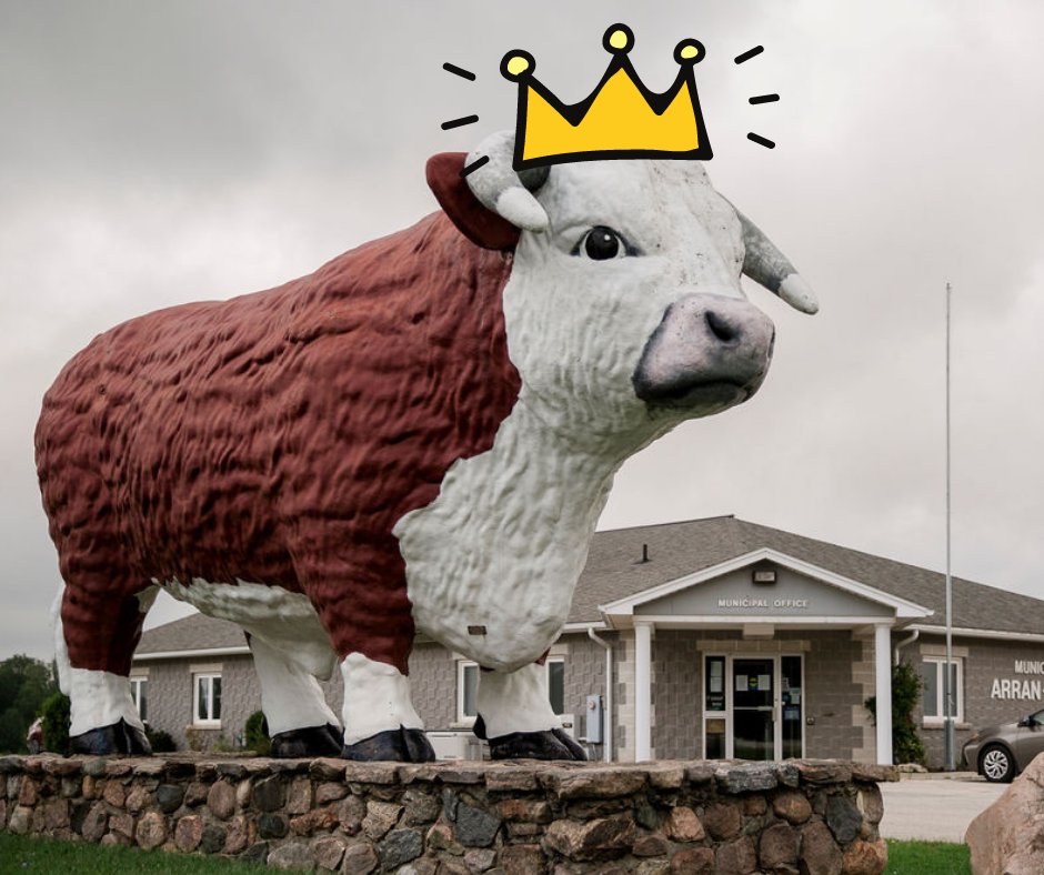 Congratulations to Big Bruce on being named Ontario's greatest roadside attraction! This tribute to Bruce County beef stands tall at the north of Chesley arran-elderslie.ca/en/news/big-br…