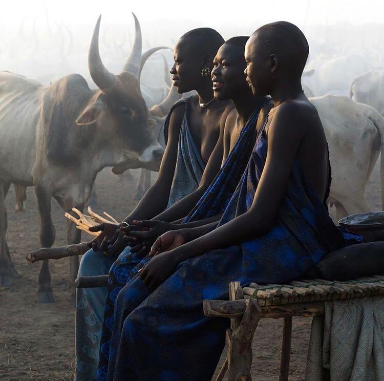 Mzilikazi wa Afrika tweet media