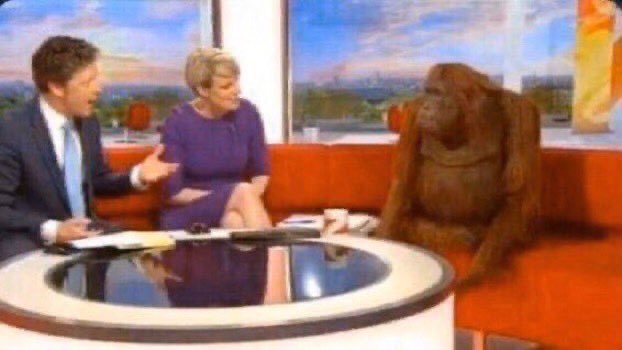 swift’s horizon (@inmyshawnieera) on Twitter photo 