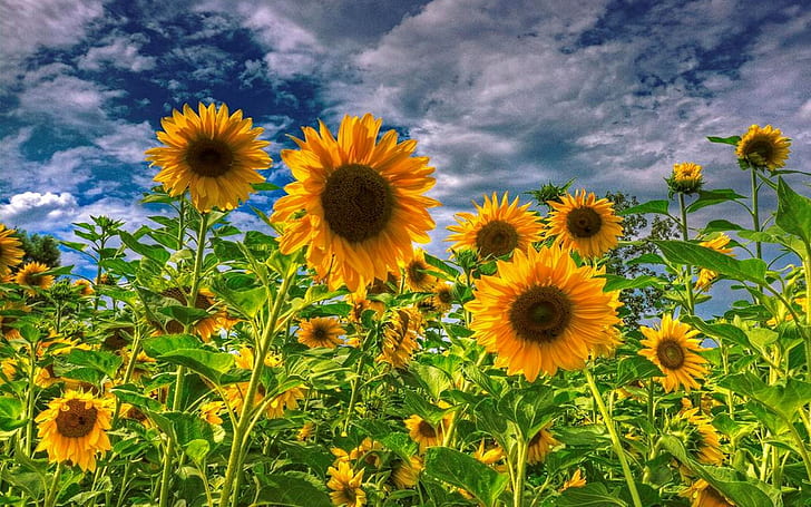 Güngörce 🌿🇹🇷 💛 💙🌿 tweet media