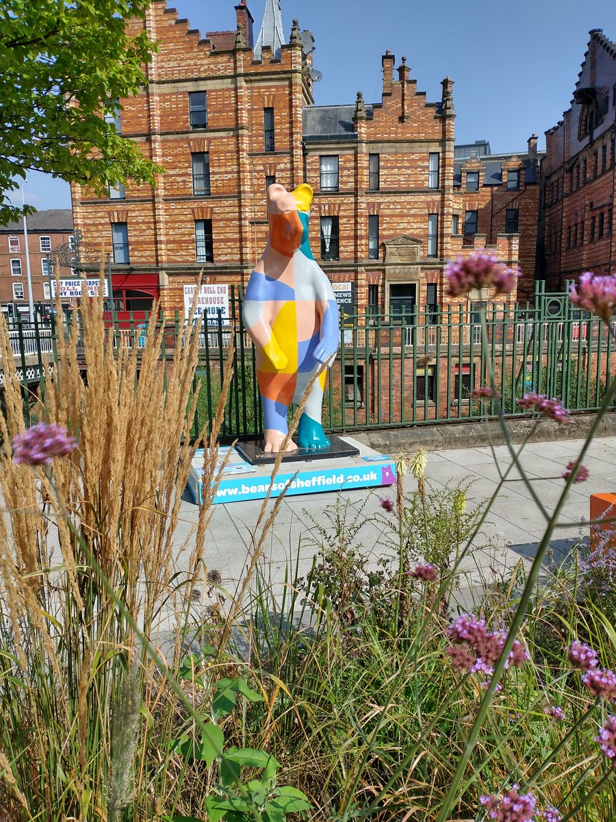 First day in the office in 17 months and #Castlegate #Sheffield was looking fantastic #GreytoGreen 🌻🌳🐻🏞️