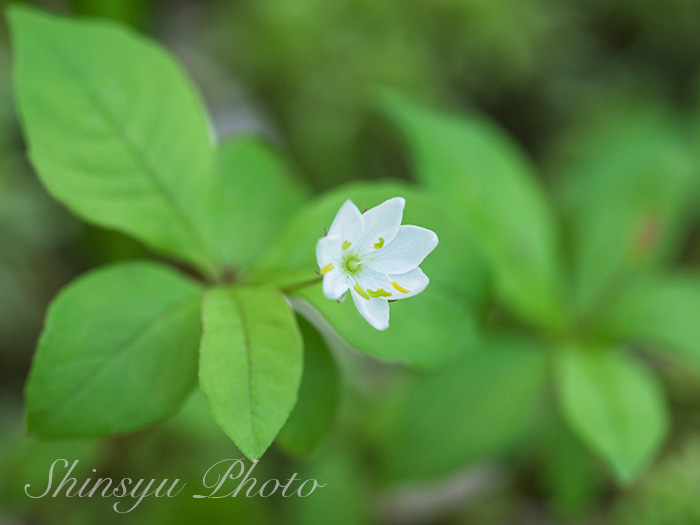 Ranrara Ranrara1123 Twitter